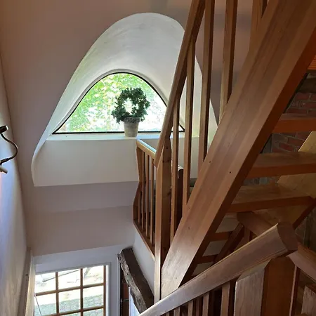 Reetdachtraum In Nyaraló *