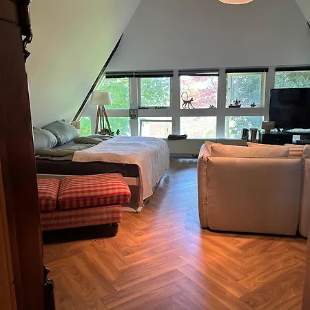 Reetdachtraum In Wischhafen