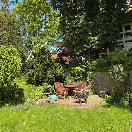 Reetdachtraum In Nyaraló Wischhafen