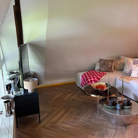 Reetdachtraum In * Wischhafen