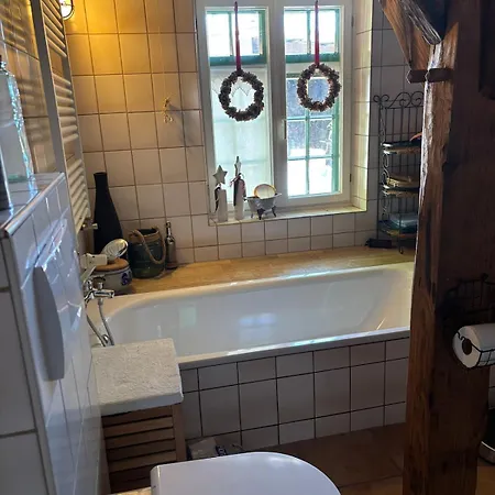 Reetdachtraum In * Wischhafen