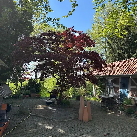 Nyaraló Reetdachtraum In Wischhafen