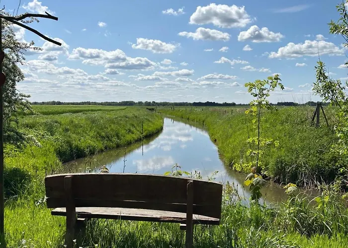 Dom wakacyjny Reetdachtraum In