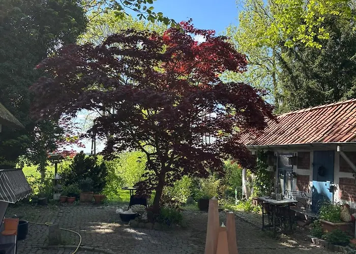 Dom wakacyjny Reetdachtraum In Wischhafen