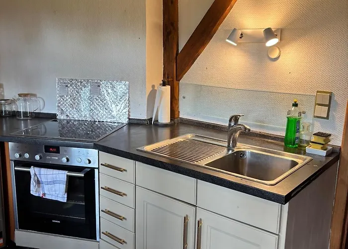 Reetdachtraum In * Wischhafen