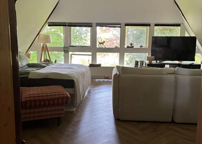 Reetdachtraum In * Wischhafen