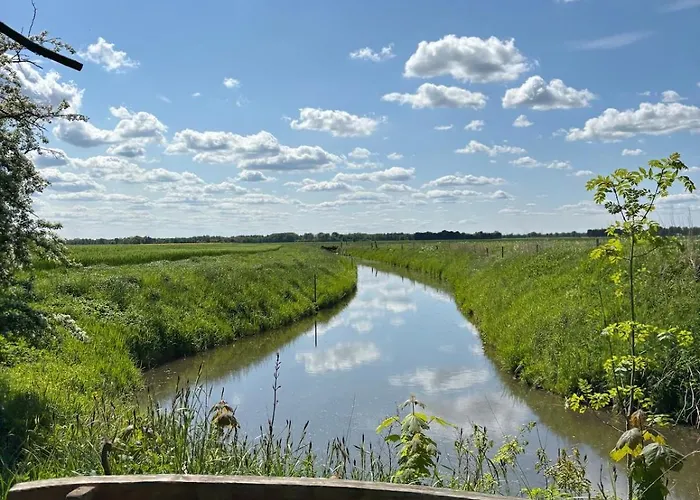 Reetdachtraum In * Wischhafen